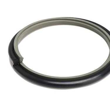 hydraulic seals rod